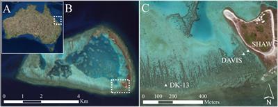 Fifty Years of Sporadic Coral Reef Calcification Estimates at One Tree Island, Great Barrier Reef: Is it Enough to Imply Long Term Trends?